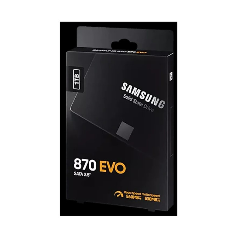 اس اس دی سامسونگ EVO 870 1TB
