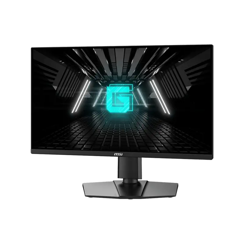 مانیتور ام اس آی G255PF E2 سایز 25 اینچ