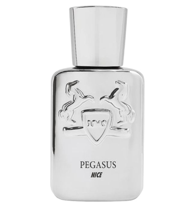 خرید عطر جیبی مردانه نایس مدل پگاسوس 32 میلی لیتر قیمت روز