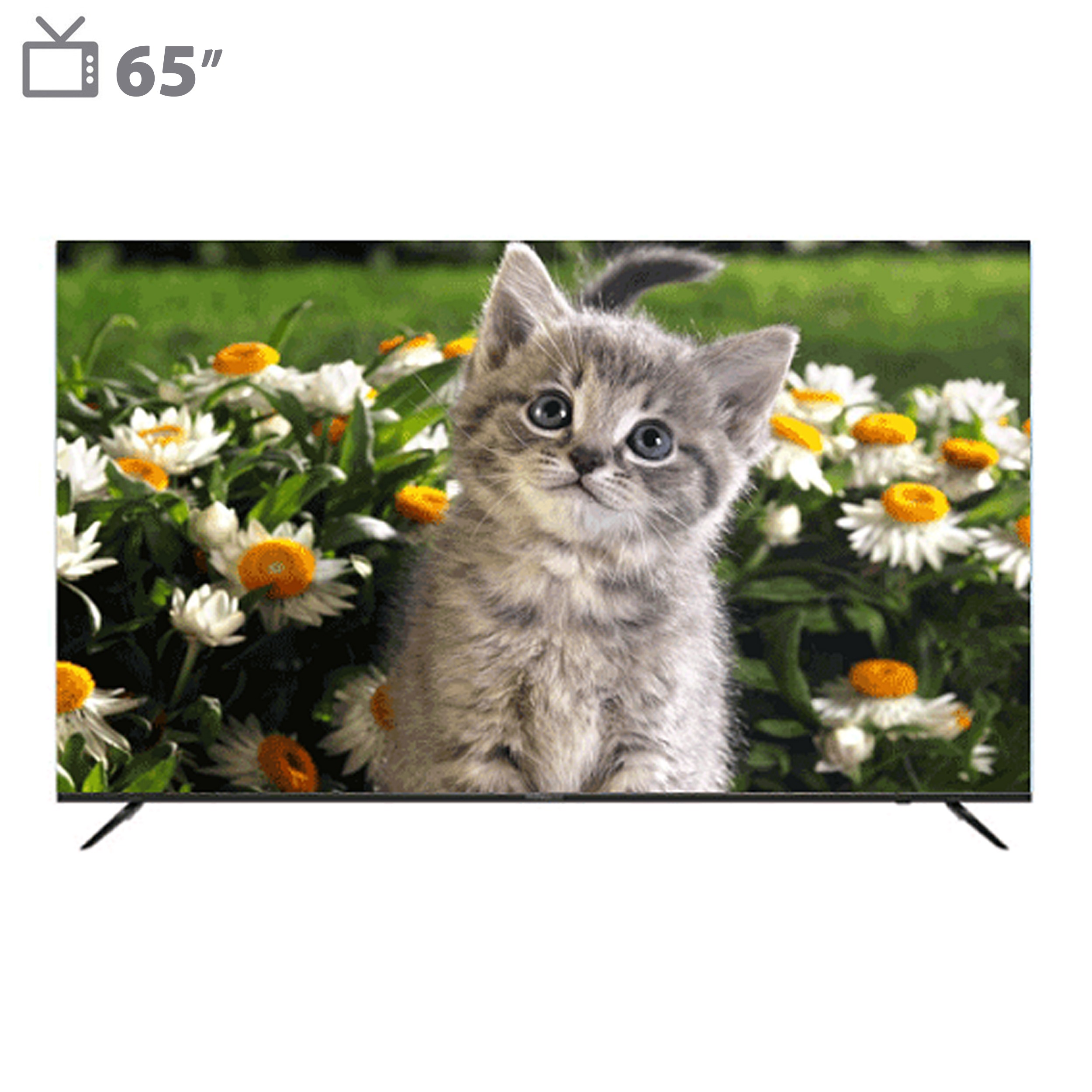 تلویزیون ال ای دی هوشمند دوو مدل DSL-65SU1870 سایز 65 اینچ